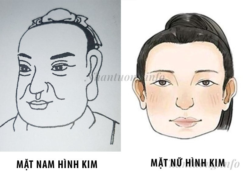 Cách nhận diện tướng mặt ngũ hành Kim Cách nhận diện tướng mặt ngũ hành Kim