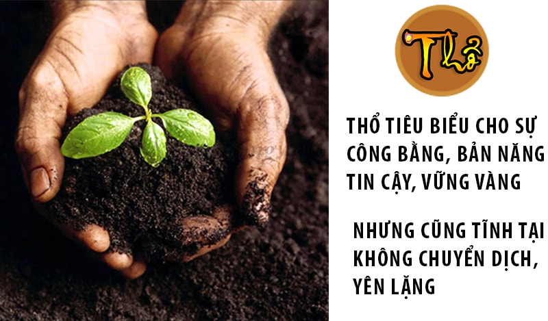 Ý nghĩa của Thổ trong luận ngũ hành Ý nghĩa của Thổ trong luận ngũ hành