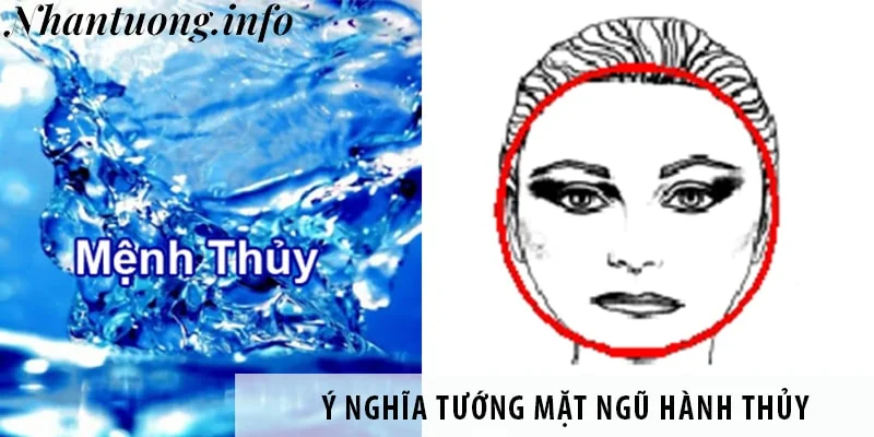 luan-giai-y-nghia-tuong-mat-ngu-hanh-thuy Luận giải ý nghĩa tướng mặt ngũ hành Thủy