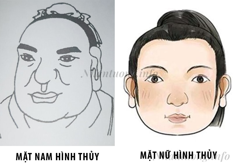 Cách nhận diện tướng mặt ngũ hành Thủy Cách nhận diện tướng mặt ngũ hành Thủy