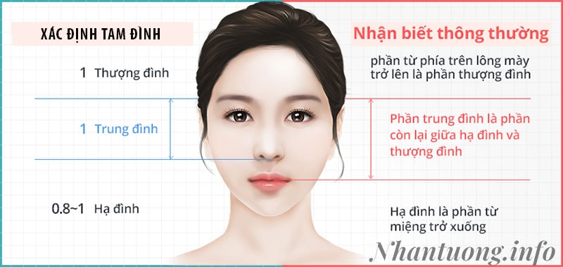 Xác định tam đình trên gương mặt Xác định tam đình trên gương mặt
