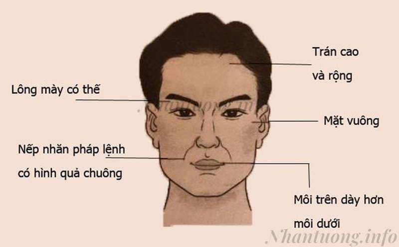 hững đặc điểm trên mặt một người đàn ông giàu sang Những đặc điểm trên mặt một người đàn ông giàu sang