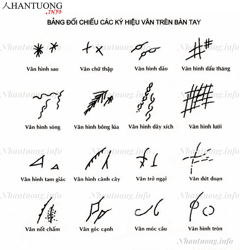 Các ký hiệu vân trên bàn tay Các ký hiệu vân trên bàn tay