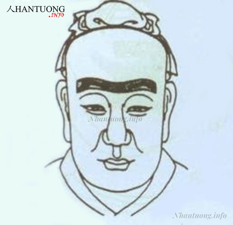 Xương mày nhô cao, xương xẩu Xương mày nhô cao, xương xẩu
