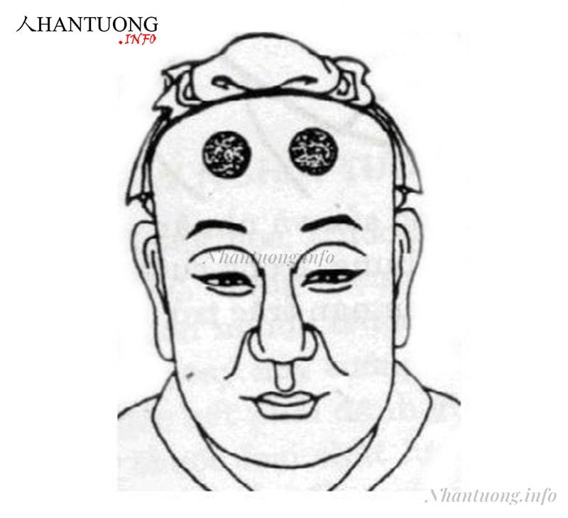 Vị trí cung nhật, nguyệt Vị trí cung nhật, nguyệt