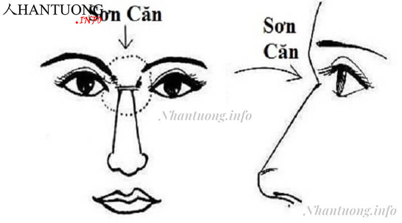 Vị trí sơn căn Vị trí sơn căn
