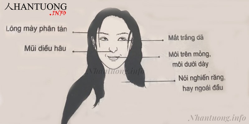 Tổng quan khuôn mặt của những người dễ lật lọng Tổng quan khuôn mặt của những người dễ lật lọng