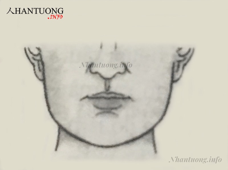 Tướng nhân trung nhỏ hẹp Tướng nhân trung nhỏ hẹp