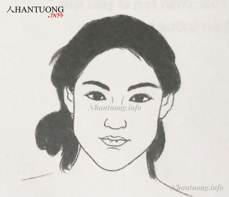 Tướng mặt hình quả lê Tướng mặt hình quả lê