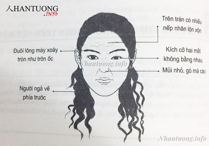 Tổng quan khuôn mặt của người phụ nữ ương bướng, bảo thủ Tổng quan khuôn mặt của người phụ nữ ương bướng, bảo thủ