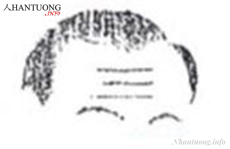 Trán có 3 nếp nhăn nằm ngang Trán có 3 nếp nhăn nằm ngang