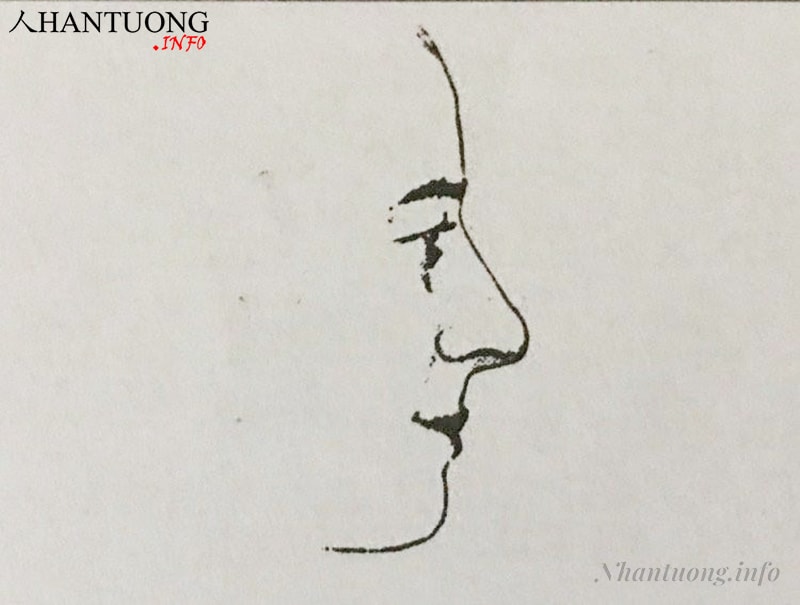Tướng mũi cừu Tướng mũi cừu