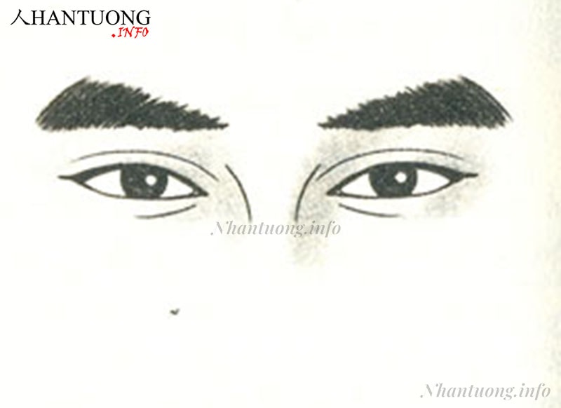 Tướng lông mày hình tam giác Tướng lông mày hình tam giác