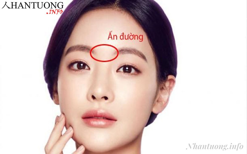 Quan sát Cung Mệnh có thể dự đoán được cuộc sống trong quá khứ cũng như trong tương lai Quan sát Cung Mệnh có thể dự đoán được cuộc sống trong quá khứ cũng như trong tương lai