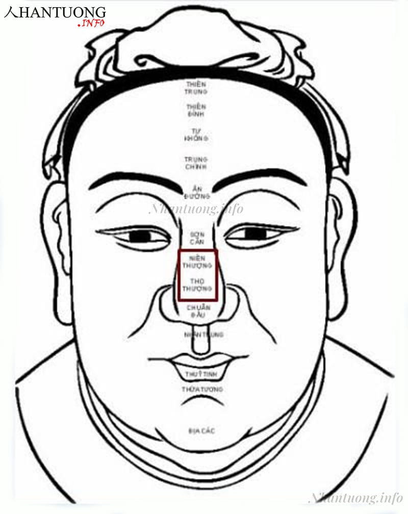 Vị trí niên thượng, thọ thượng Vị trí niên thượng, thọ thượng