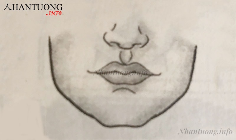 Nhân trung hình oval Nhân trung hình oval