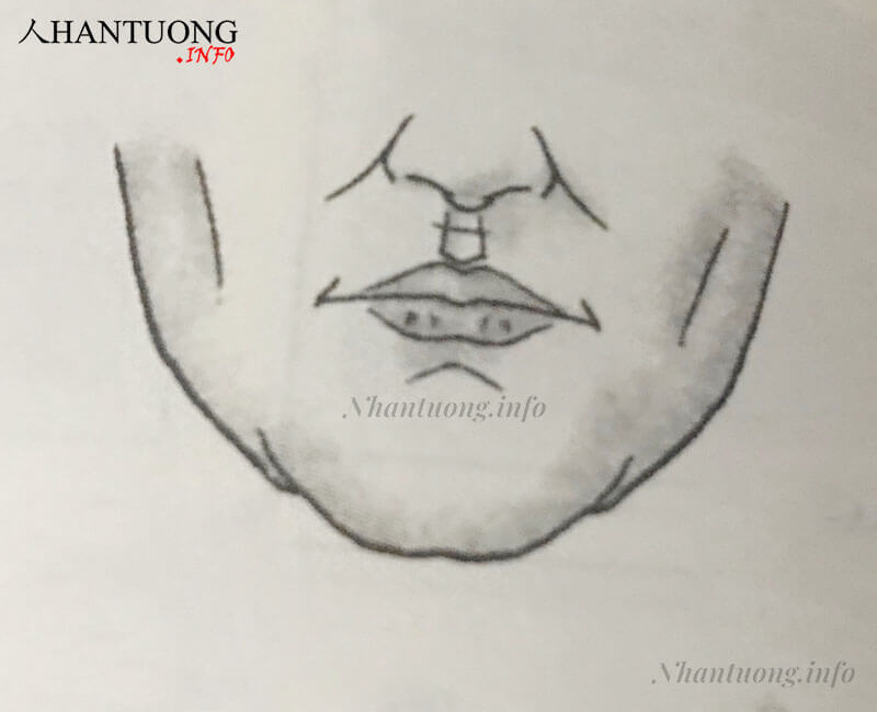 Nhân trung có nếp nhăn ngang Nhân trung có nếp nhăn ngang