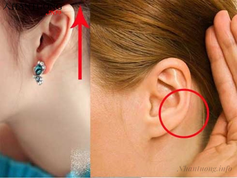 Người có vành tai nhỏ, mềm, mỏng thường yểu mệnh