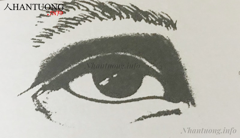 Lông mày tán thưa Lông mày tán thưa