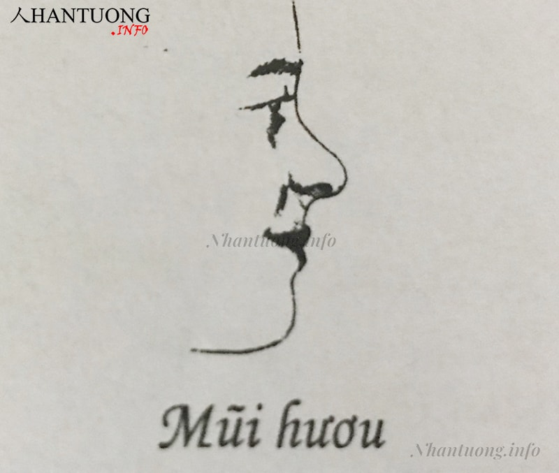 Dáng mũi hươu Dáng mũi hươu
