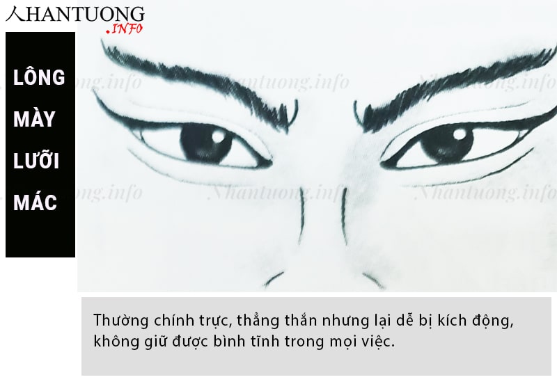 Tướng lông mày lưỡi mác