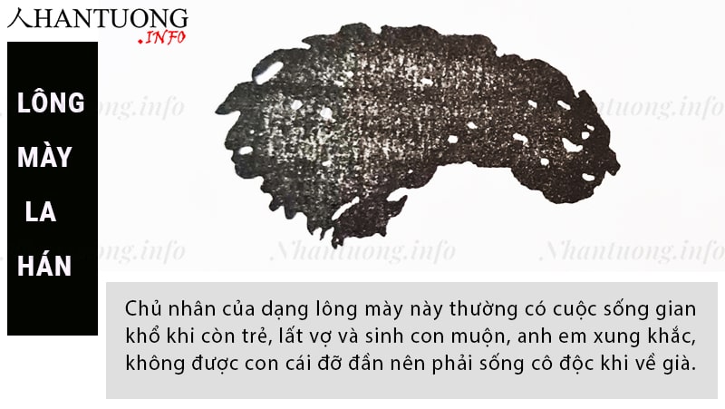 Đặc điểm và hình dáng của tướng mày la hán - La hán mi Đặc điểm và hình dáng của tướng mày la hán - La hán mi