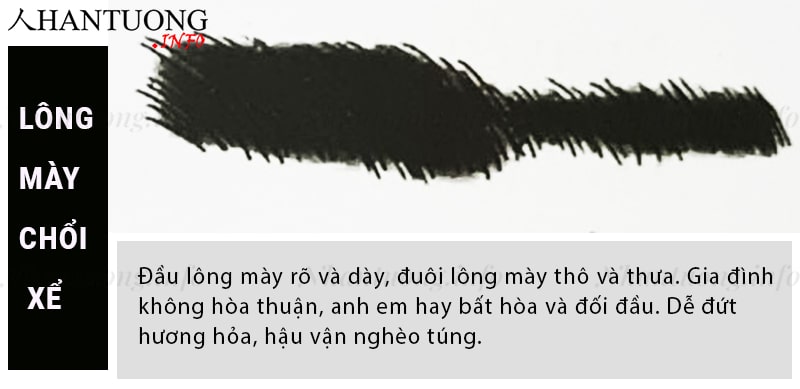 Đặc điểm và hình dáng của tướng lông mày chổi xể Đặc điểm và hình dáng của tướng lông mày chổi xể