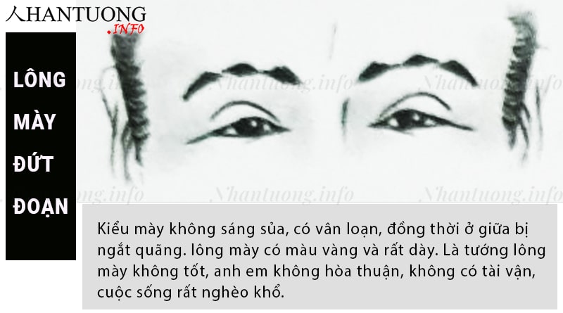 Tướng lông mày đứt nét không liền mạch Tướng lông mày đứt nét không liền mạch