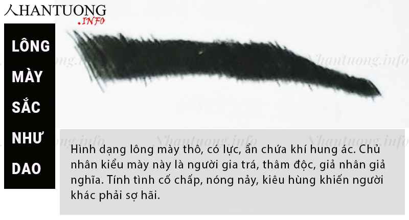 Tướng lông mày nhìn như lưỡi dao sắc Tướng lông mày nhìn như lưỡi dao sắc