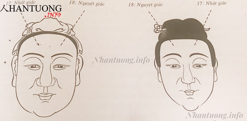 Vị trí nhật giác, nguyệt giác đầy đặn, không khuyết hãm Vị trí nhật giác, nguyệt giác đầy đặn, không khuyết hãm