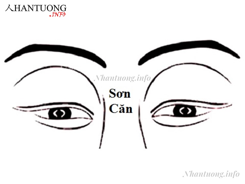 Vị trí sơn căn Vị trí sơn căn