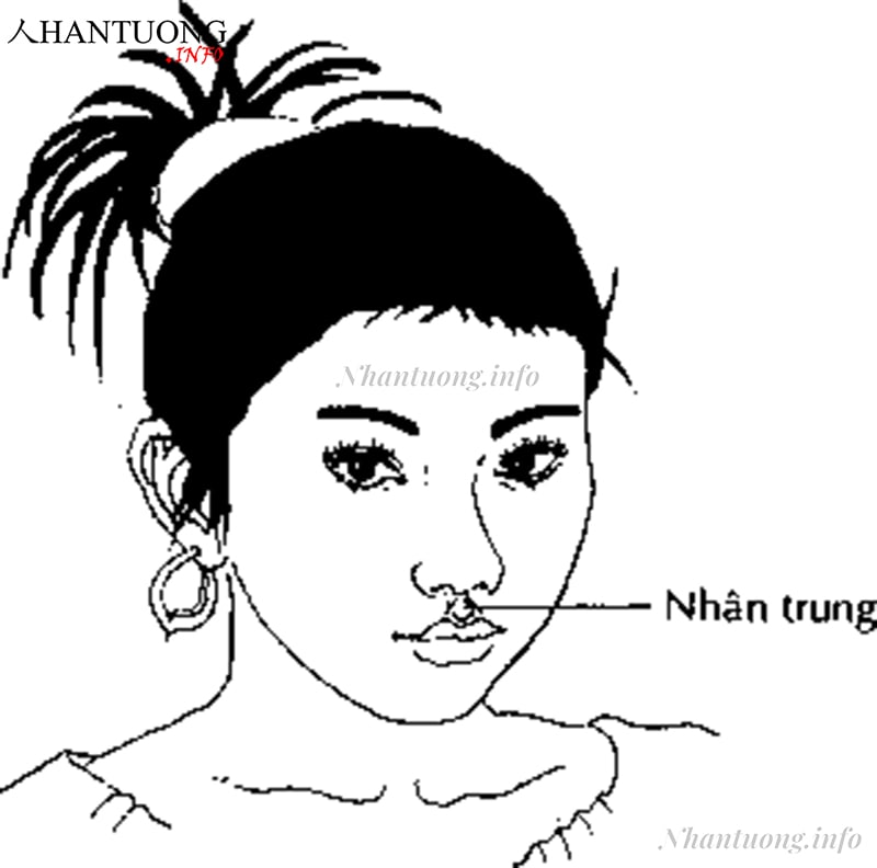 Nhân trung nông ngắn, không có rãnh Nhân trung nông ngắn, không có rãnh