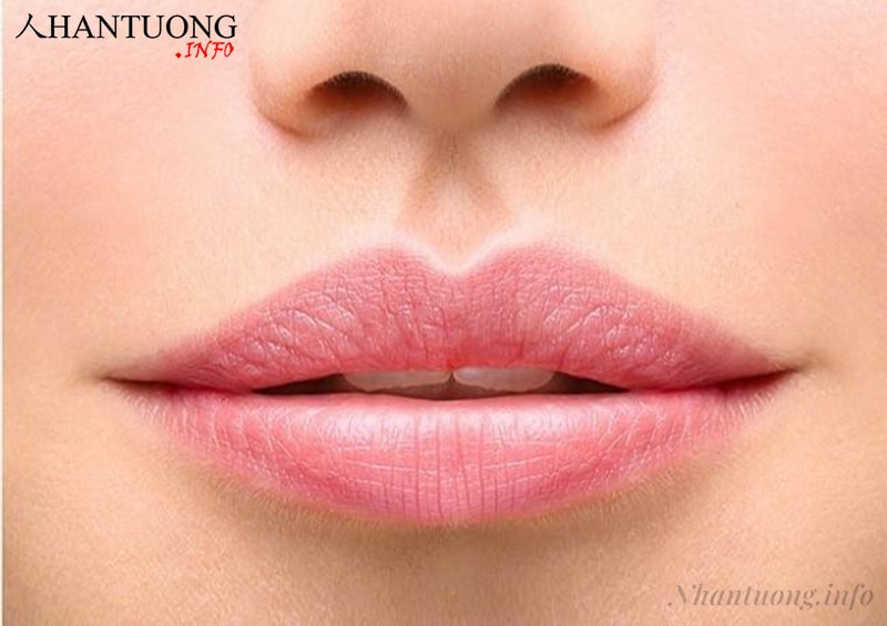 Người có tướng môi nhiều nếp nhăn Người có tướng môi nhiều nếp nhăn