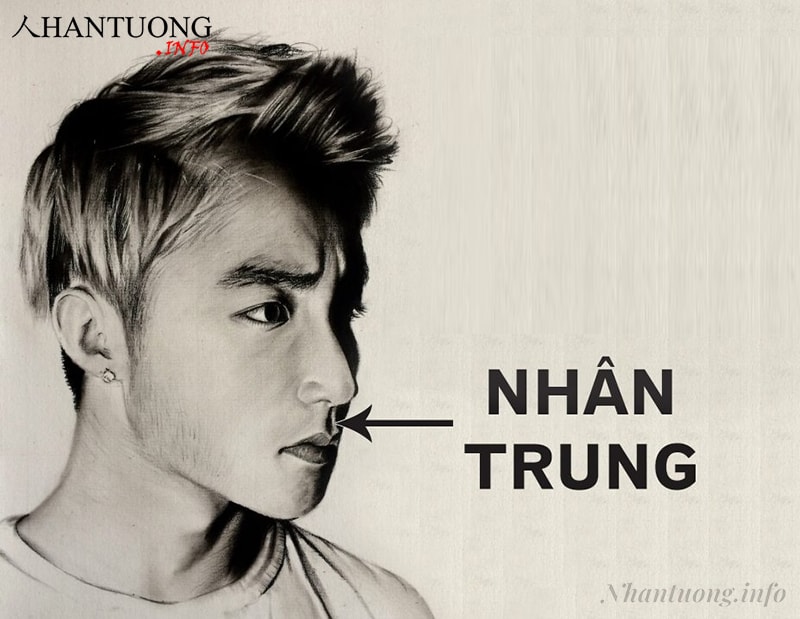 Vị trí của nhân trung Vị trí của nhân trung