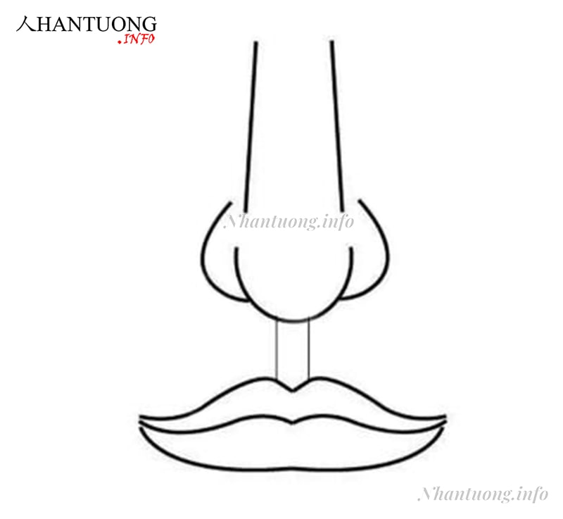 Nhân trung rộng mà dài và sâu Nhân trung rộng mà dài và sâu