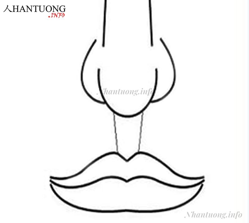 Nhân trung rộng trên, dưới hẹp Nhân trung rộng trên, dưới hẹp