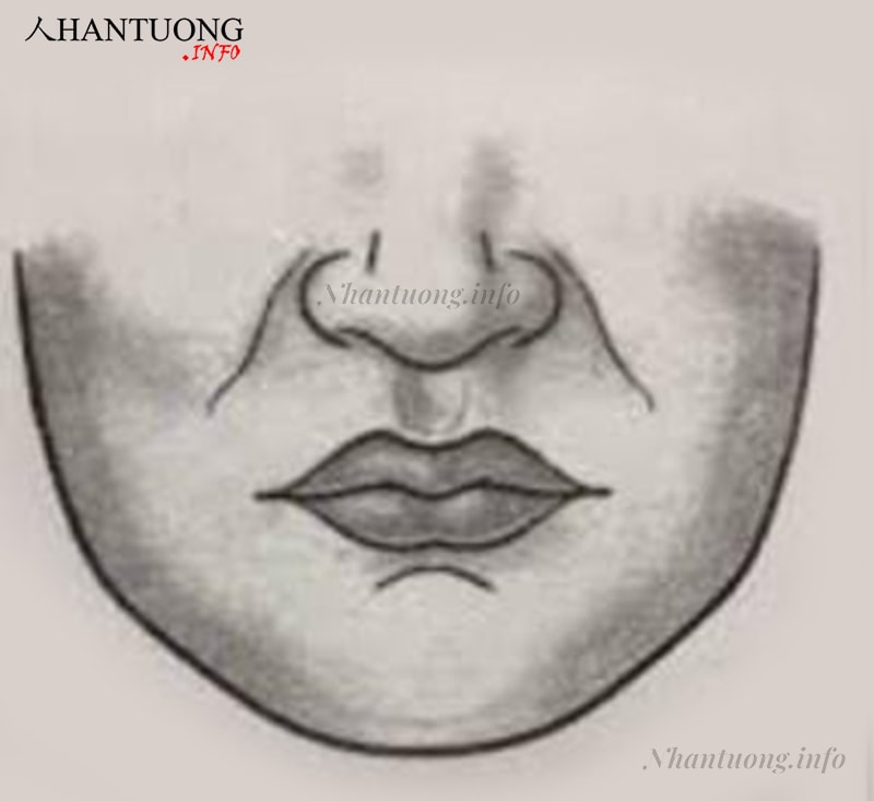 Nhân trung rộng nhưng ngắn và nông Nhân trung rộng nhưng ngắn và nông