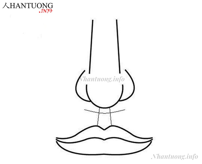 Mô tả tướng nhân trung có nếp nhăn ngang Mô tả tướng nhân trung có nếp nhăn ngang