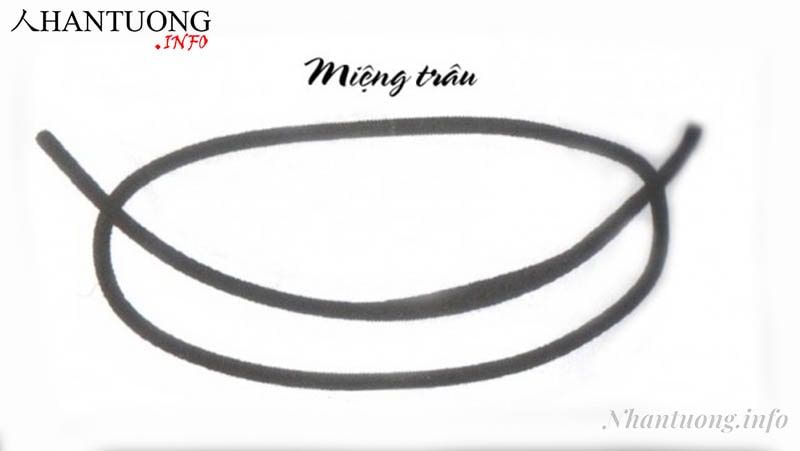 Miệng trâu