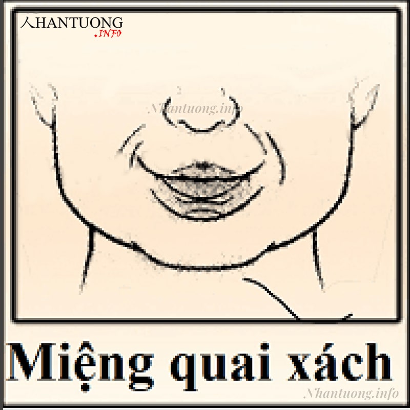 Khi xem tướng miệng quai xách thì cần kết hợp với các bộ vị khác Khi xem tướng miệng quai xách thì cần kết hợp với các bộ vị khác