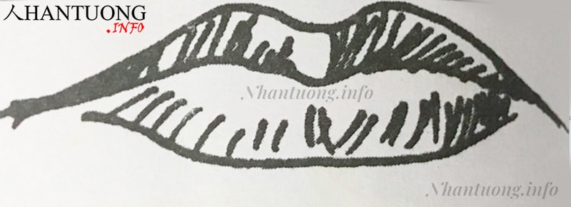 Hình dáng miệng cá chép Hình dáng miệng cá chép