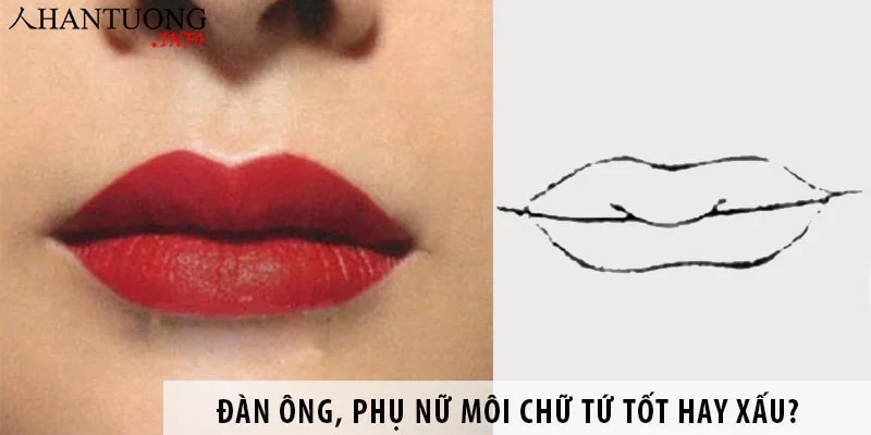 Đàn ông, phụ nữ có tướng môi chữ Tứ tốt hay xấu? Đàn ông, phụ nữ có tướng môi chữ Tứ tốt hay xấu?