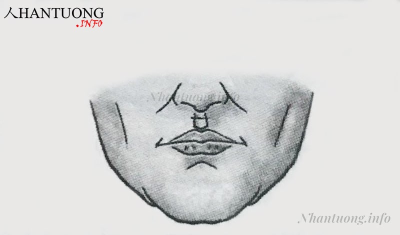 Tướng nhân trung hẹp, có nếp nhăn ngang Tướng nhân trung hẹp, có nếp nhăn ngang