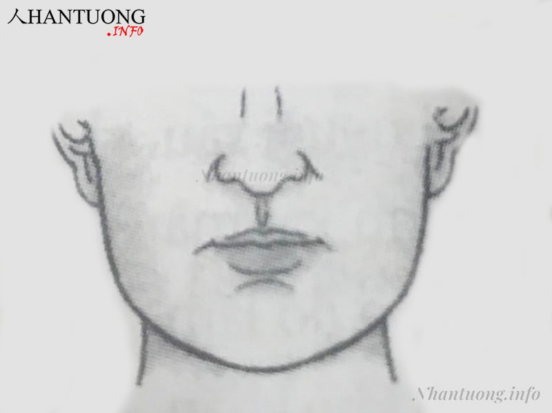 Tướng nhân trung hẹp, nhỏ Tướng nhân trung hẹp, nhỏ