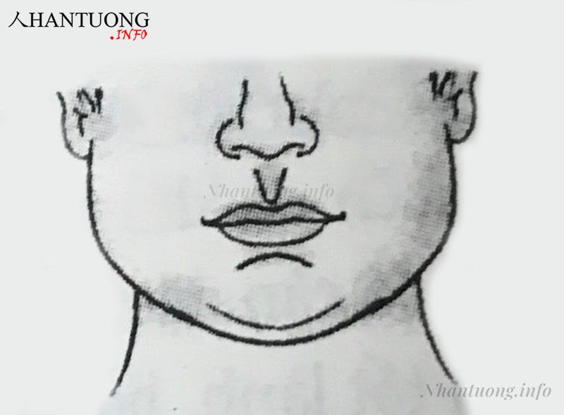 Tướng nhân trung rộng trên, hẹp dưới Tướng nhân trung rộng trên, hẹp dưới