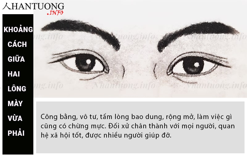 Khoảng cách 2 đầu lông mày vừa phải Khoảng cách 2 đầu lông mày vừa phải