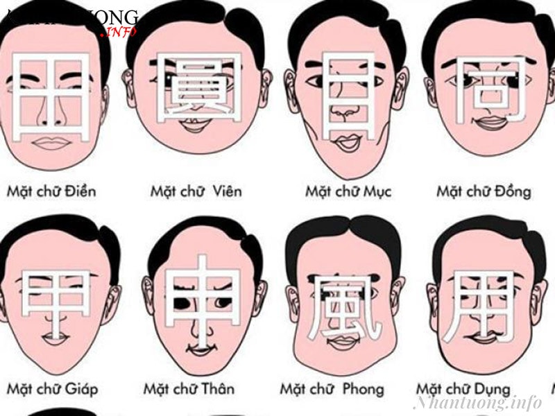 Các tướng mặt thường gặp Các tướng mặt thường gặp