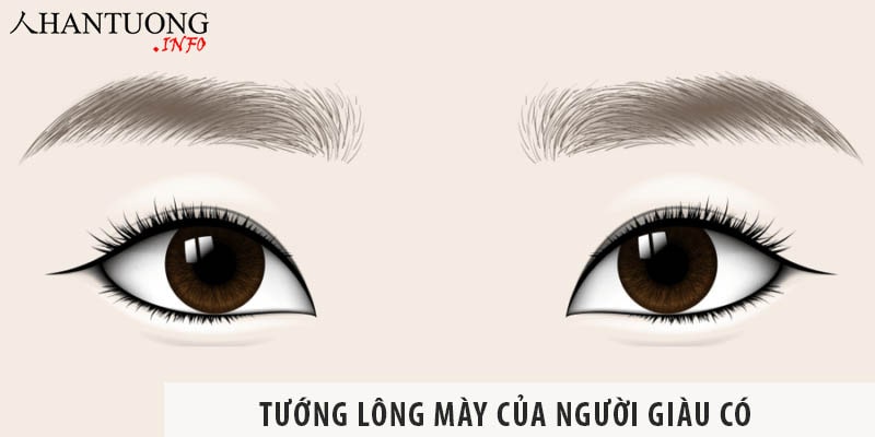 Các tướng lông mày của người giàu có Các tướng lông mày của người giàu có