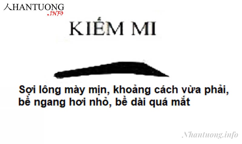 Lông mày lưỡi kiếm (kiếm mi) Lông mày lưỡi kiếm (kiếm mi)