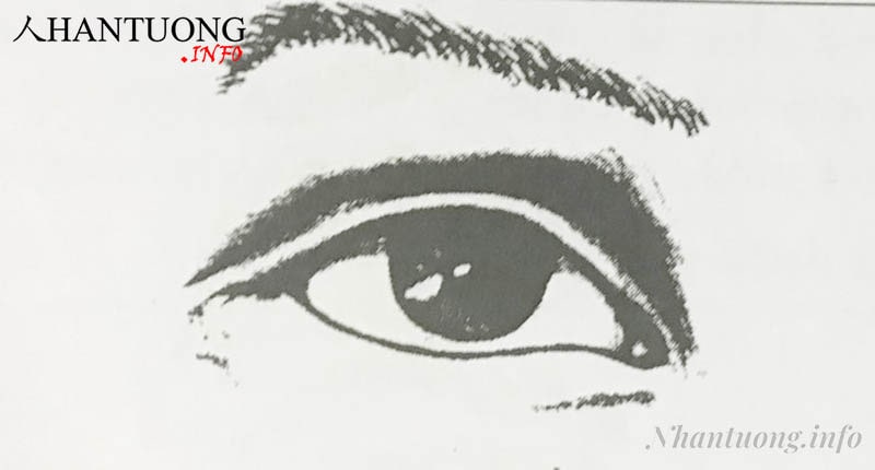 Lông mày rồng Lông mày rồng